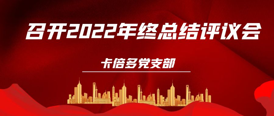 91香蕉视频在线观看黨支部召開2022年終總結評議會